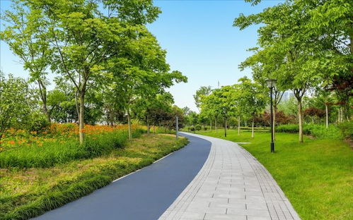 园林景观中道路与铺装的系统性设计与施工要旨