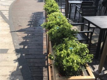 上海别墅庭院花园 从设计施工到绿化养护的全流程指南