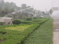 潍坊丽景园林 一站式园林绿化工程设计及施工服务