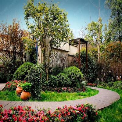 庭院绿化设计与施工指南 结合风水理念的山东园林实践