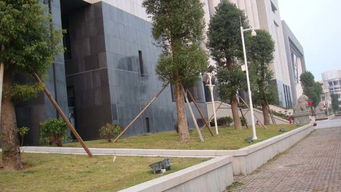 萝岗新法院03园林绿化工程设计及施工——广东绿化工程的典范